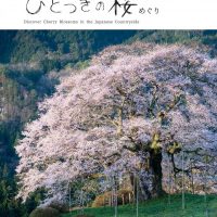 真庭・新庄 山さとの春「ひとつきの桜めぐり」