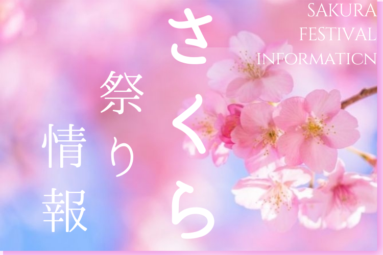 桜祭り情報