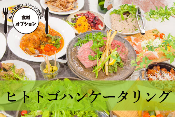 opヒトトゴハン