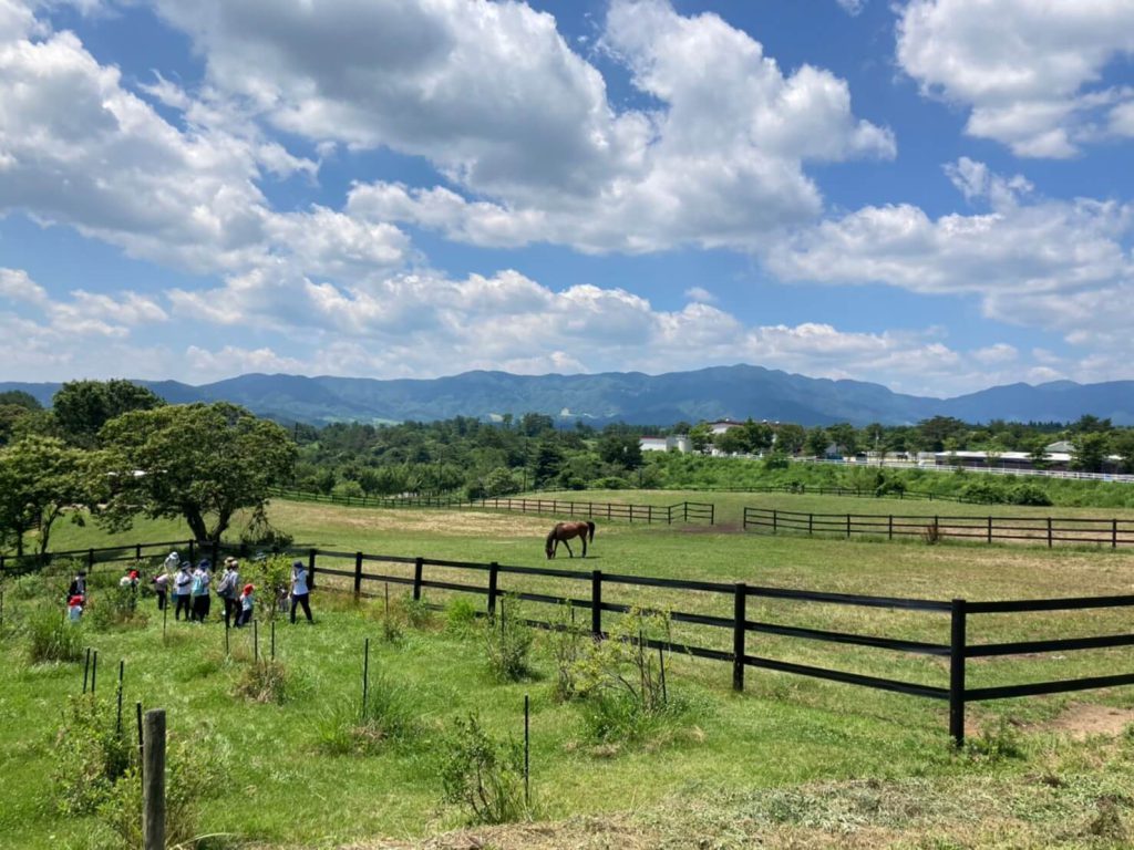 コテージから行ける ブルーベリー狩り ベストレート保証 公式 岡山ひるぜん貸別荘ピーターパン 雪あかり クリスマスコテージ