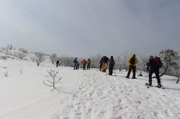 スノーシュー　ガイドクラブ