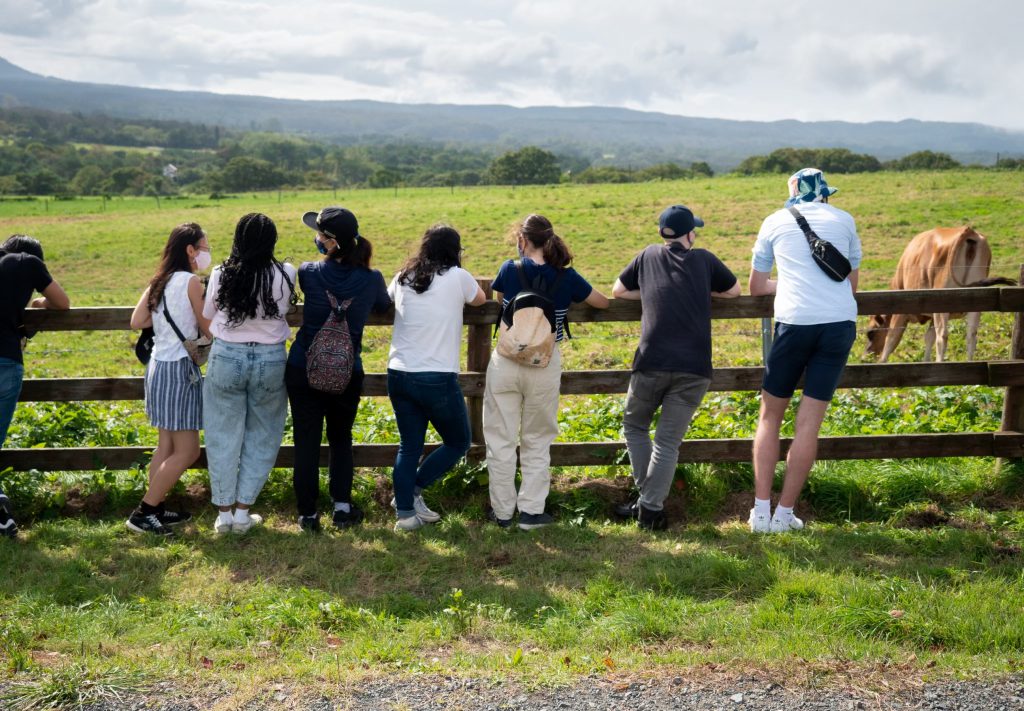 ジャージーランド　学生