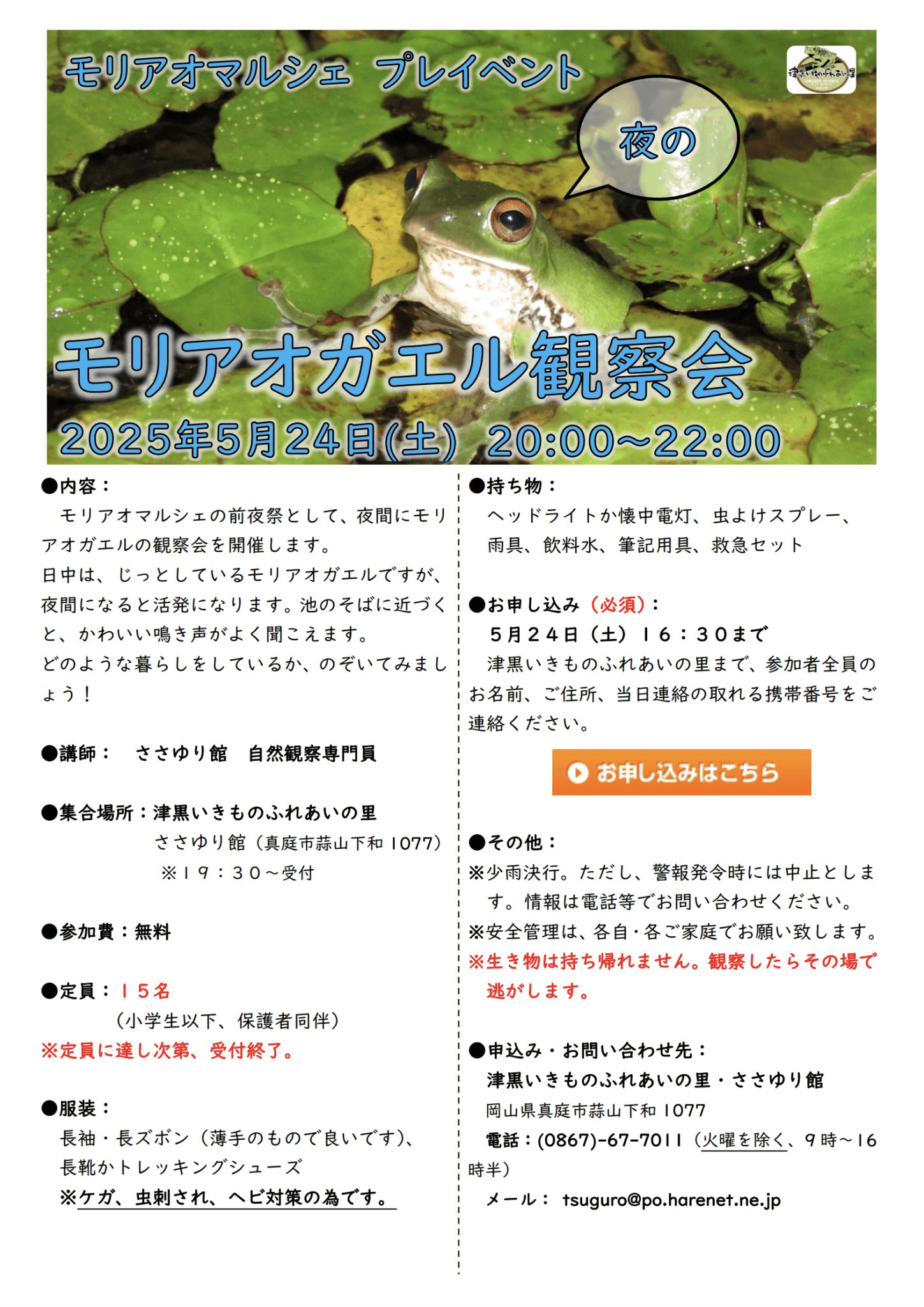 モリアオガエル　津黒いきものふれあいの里