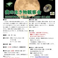 夜の生き物観察会　いきものふれあいの里