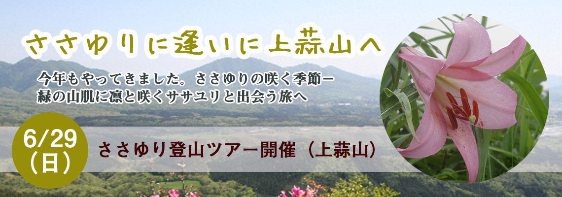 ササユリ登山　ガイドクラブ