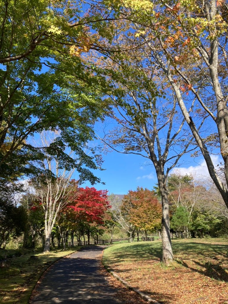 牧場公園