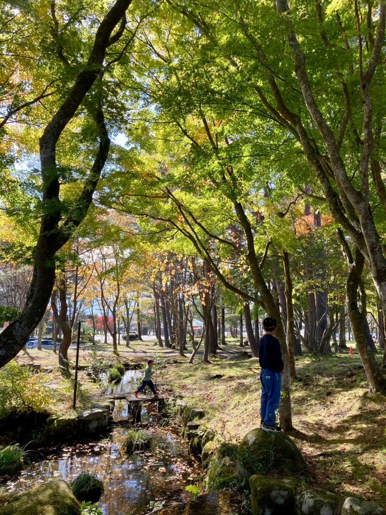 牧場公園　秋