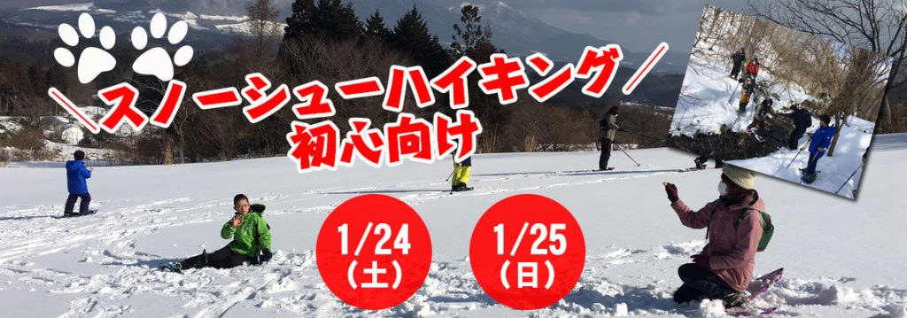 蒜山高原で開催される初心者向けスノーシューハイキングの様子｜雪原を歩く体験ツアー