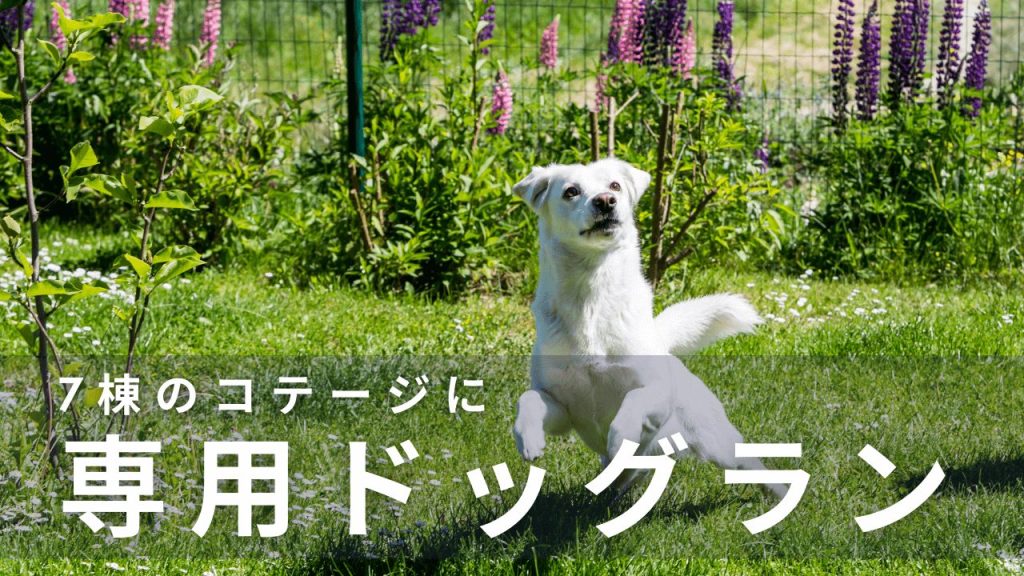 ドッグラン　犬