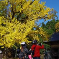 E-bikeツアー