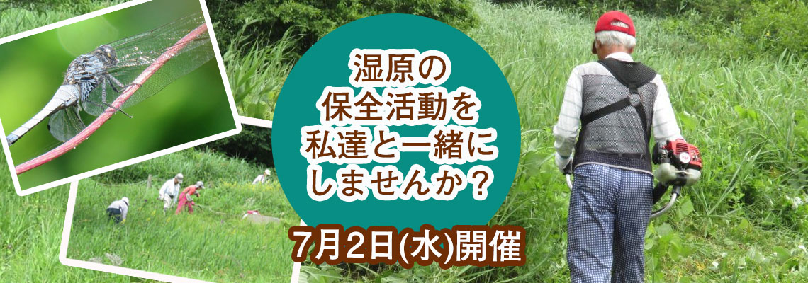 犬挟湿原　ガイドクラブ