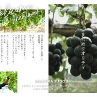 真庭ぶどうのお福分けMAP