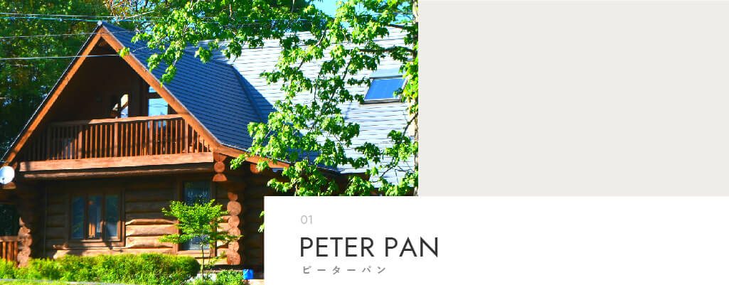 アートボード 1スライドショー スライドショー1