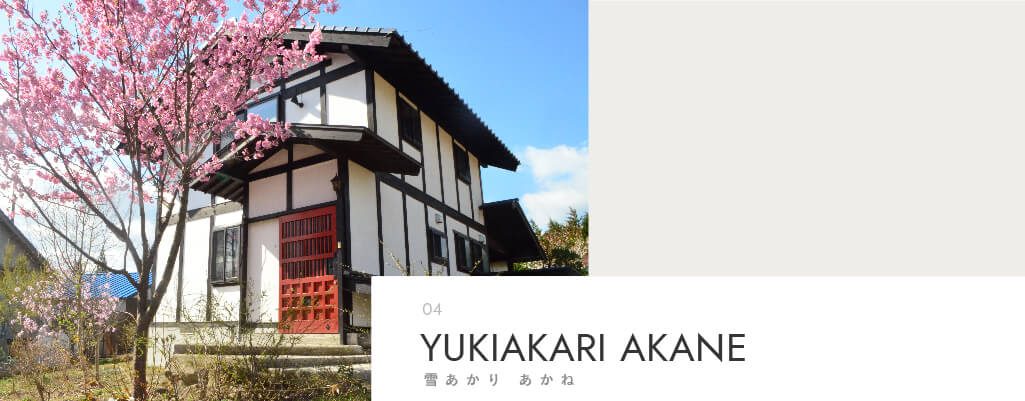 アートボード 4スライドショー スライドショー4